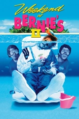 Çılgın Tatil 2 (1993)