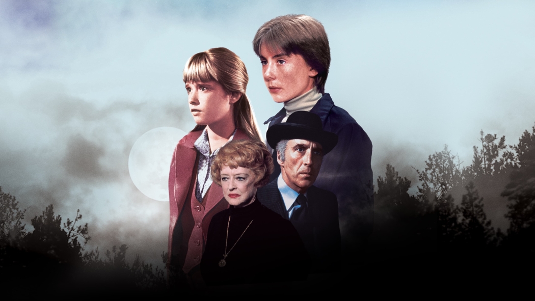 Sihirli Dağdan Dönüş (1978) izle